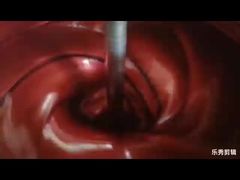 Professional Automotive Refinish Paint Production Process